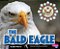 The Bald Eagle-.. - Imagem 1