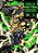 Ninja Vs. Gokudo 12-.. - Imagem 1