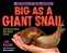 Big As A Giant Snail-.. - Imagem 1