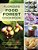 Florida's Food Forest Cookbook: 400 Healthy, No-Waste Recipes For 20 Popular Perennial Plants-.. - Imagem 1