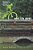 Over The Moat: Love Among The Ruins Of Imperial Vietnam-.. - Imagem 1
