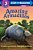 Amazing Armadillos-.. - Imagem 1