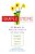 Simple Steps: 10 Weeks To Getting Control Of Your Life: Health - Weight - Home - Spirit-.. - Imagem 1