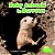 Baby Animals In Burrows-.. - Imagem 1
