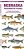 Nebraska Freshwater Fishes: A Folding Pocket Guide To Native And Introduced Species-.. - Imagem 1