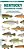 Kentucky Freshwater Fishes: A Folding Pocket Guide To Native And Introduced Species-.. - Imagem 1