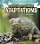 Rain Forest Animal Adaptations-.. - Imagem 1