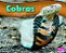 Cobras-.. - Imagem 1