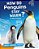 How Do Penguins Stay Warm?-.. - Imagem 1