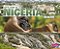 Let's Look At Nigeria-.. - Imagem 1