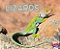 Lizards-.. - Imagem 1