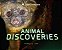 Animal Discoveries-.. - Imagem 1