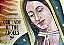 Our Lady Of The Angels: The Virgin Of Guadalupe On The Walls Of Los Angeles-.. - Imagem 1