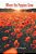 Where The Poppies Grow-.. - Imagem 1