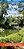 Trees Of Dallas-Fort Worth: A Folding Pocket Guide To Native & Other Distinctive Species-.. - Imagem 1