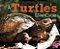 A Turtle's Life Cycle-.. - Imagem 1
