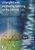 Untangled Web: Developing Teaching On The Internet-.. - Imagem 1