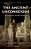 Ancient Unconscious: Psychoanalysis And Classical Texts-.. - Imagem 1