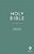Holy Bible, Economy Outreach Edition, Nlt (Softcover, Aqua)-.. - Imagem 1