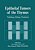 Epithelial Tumors Of The Thymus: Pathology, Biology, Treatment-.. - Imagem 1