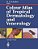 Colour Atlas Of Tropical Dermatology And Venerology-.. - Imagem 1
