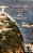 Evolution Education And The Rise Of The Creationist Movement In Brazil-.. - Imagem 1