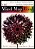 The Mind Map Book: How To Use Radiant Thinking To Maximize Your Brain's Untapped Potential-.. - Imagem 1