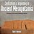 Civilization's Beginning In Ancient Mesopotamia -Children's Ancient History Books-.. - Imagem 1