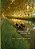 Christian Faith And University Life: Stewards Of The Academy-.. - Imagem 1