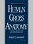 Human Gross Anatomy: An Outline Text-.. - Imagem 1