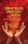 Chronic Illness, Spirituality, And Healing: Diverse Disciplinary, Religious, And Cultural Perspectives-.. - Imagem 1