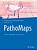 Pathomaps: Clinical-Pathological Overview Charts-.. - Imagem 1