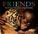 Friends: True Stories Of Extraordinary Animal Friendships-.. - Imagem 1
