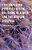 Contemporary Perspectives On Religions In Africa And The African Diaspora-.. - Imagem 1