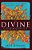The Divine Commodity: Discovering A Faith Beyond Consumer Christianity-.. - Imagem 1