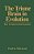 The Triune Brain In Evolution: Role In Paleocerebral Functions-.. - Imagem 1
