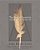 The Zen Of Creativity: Cultivating Your Artistic Life-.. - Imagem 1