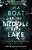 In A Boat In The Middle Of A Lake: Trusting The God Who Meets US In Our Storm-.. - Imagem 1