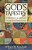 God's Tapestry: Understanding And Celebrating Differences-.. - Imagem 1
