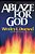 Ablaze For God: How To Become A Truly Spirit-Filled Leader-.. - Imagem 1
