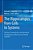 The Hippocampus From Cells To Systems: Structure, Connectivity, And Functional Contributions To Memory And Flexible Cognition-.. - Imagem 1