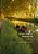 Christian Faith And University Life: Stewards Of The Academy-.. - Imagem 1