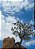 Contemporary Encounters In Gender And Religion: European Perspectives-.. - Imagem 1