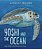 Yoshi And The Ocean: A Sea Turtle's Incredible Journey Home-.. - Imagem 1
