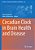 Circadian Clock In Brain Health And Disease-.. - Imagem 1