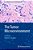 The Tumor Microenvironment-.. - Imagem 1
