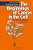 The Beginnings Of Cancer In The Cell: An Interdisciplinary Approach-.. - Imagem 1