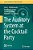 The Auditory System At The Cocktail Party-.. - Imagem 1
