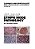 Atlas Of Lymph Node Pathology-.. - Imagem 1