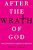 After The Wrath Of God: Aids, Sexuality, And American Religion-.. - Imagem 1